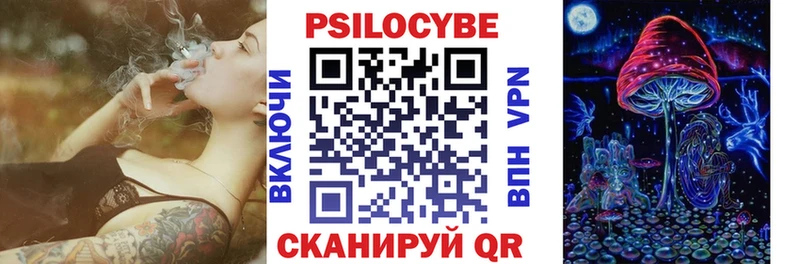 darknet клад  Валуйки  Галлюциногенные грибы Psilocybine cubensis 