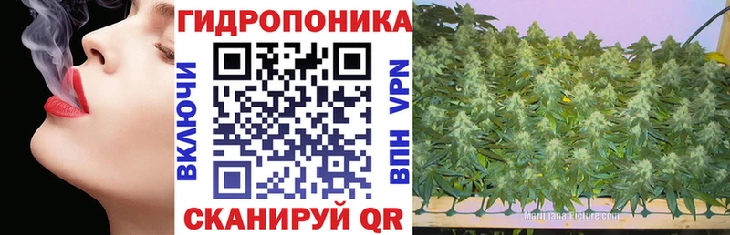 Бошки марихуана семена  Валуйки 